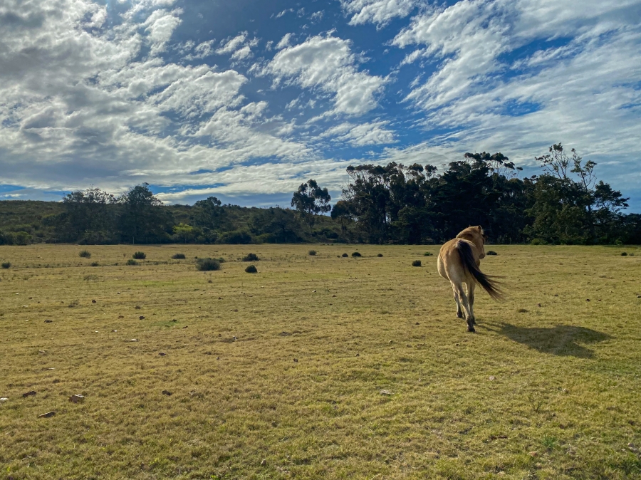 0 Bedroom Property for Sale in Mossel Bay Rural Western Cape